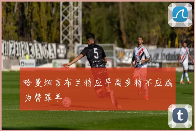哈曼坦言布兰特应早离多特不应成为替罪羊
