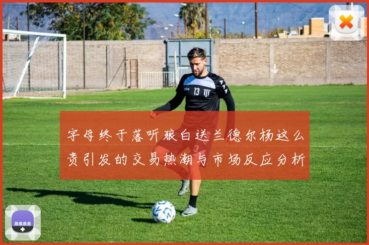 字母终于落听狼白送兰德尔杨这么贵引发的交易热潮与市场反应分析