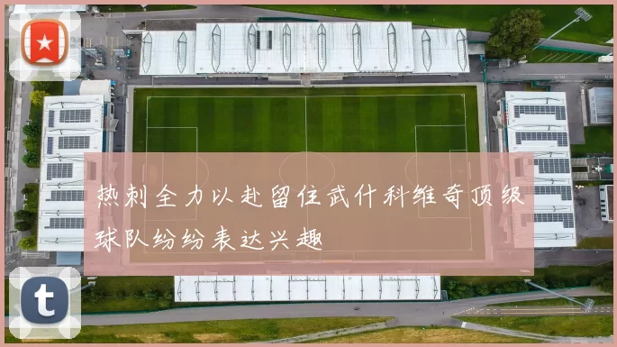 热刺全力以赴留住武什科维奇顶级球队纷纷表达兴趣